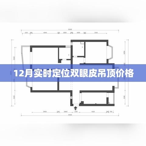 雙眼皮吊頂價格實時定位查詢